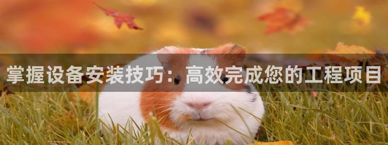九游会最新网站