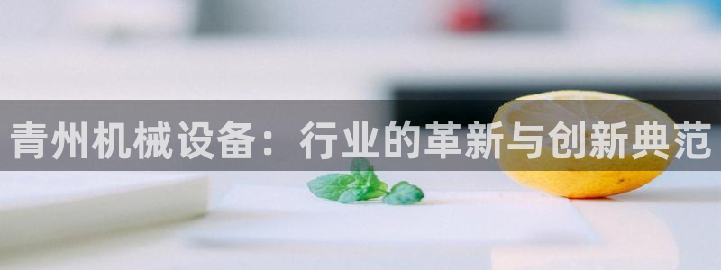九游j9