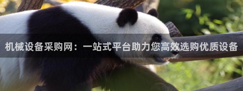 九游会这几天打不开了