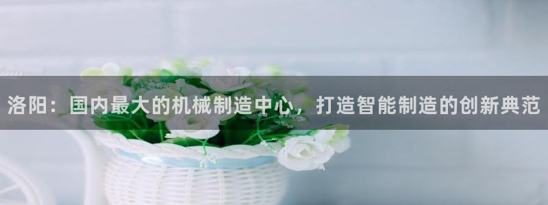 九游会平台最强