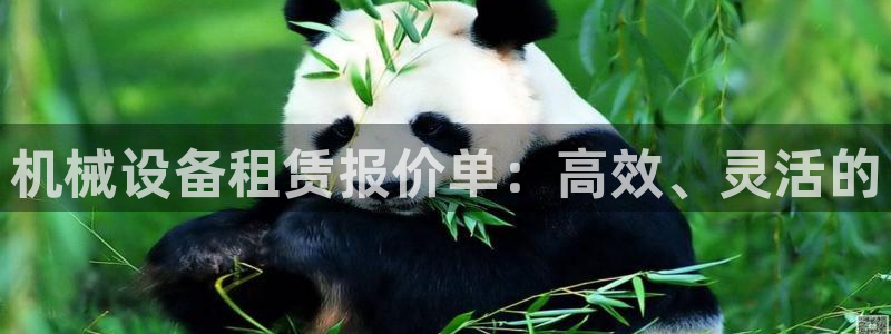 九游会是干嘛的
