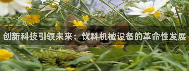 九游会关服吗