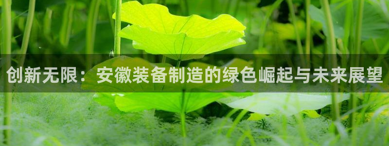 九游会 网址