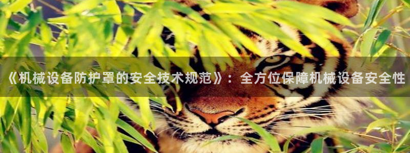 j9九游会首页入口试
